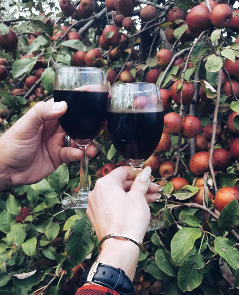 Apple Picking & Wine Sipping on Champagne + Macaroons