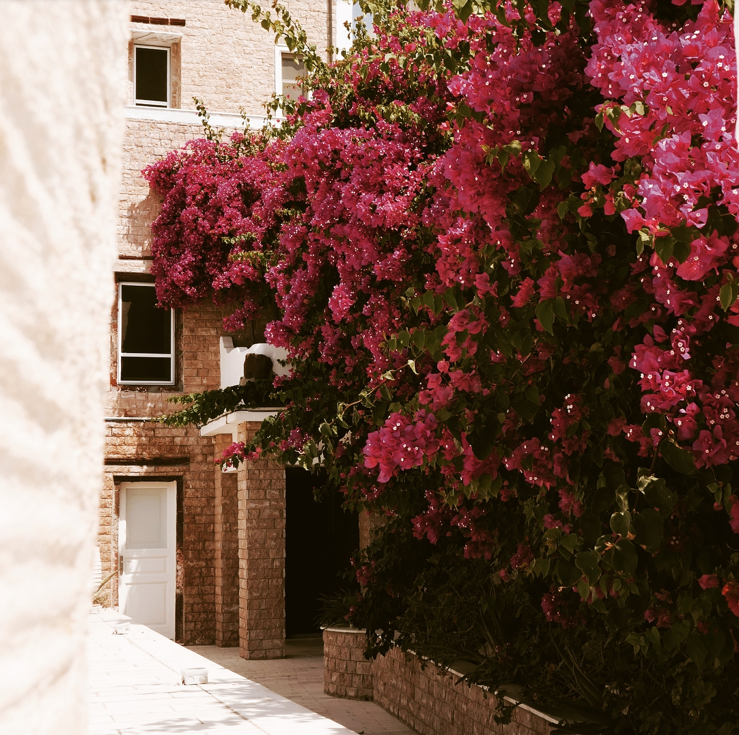 Santorini Dreaming | Greece Travel Diary - CHAMPAGNE + MACAROONS