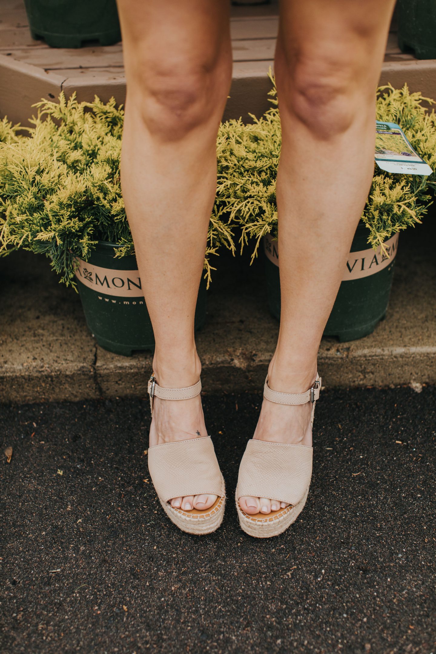 dsw snakeskin heels