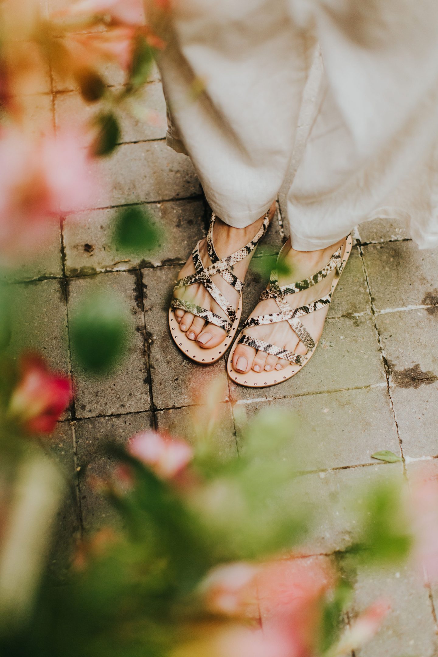 dsw snakeskin mules