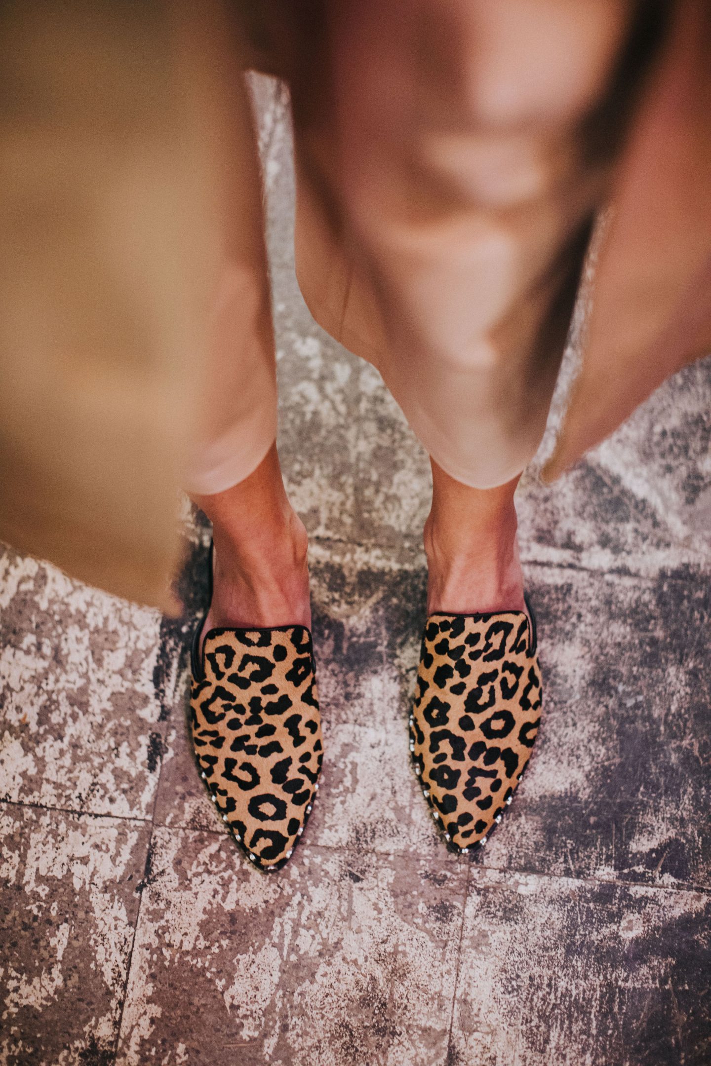 dsw leopard mules