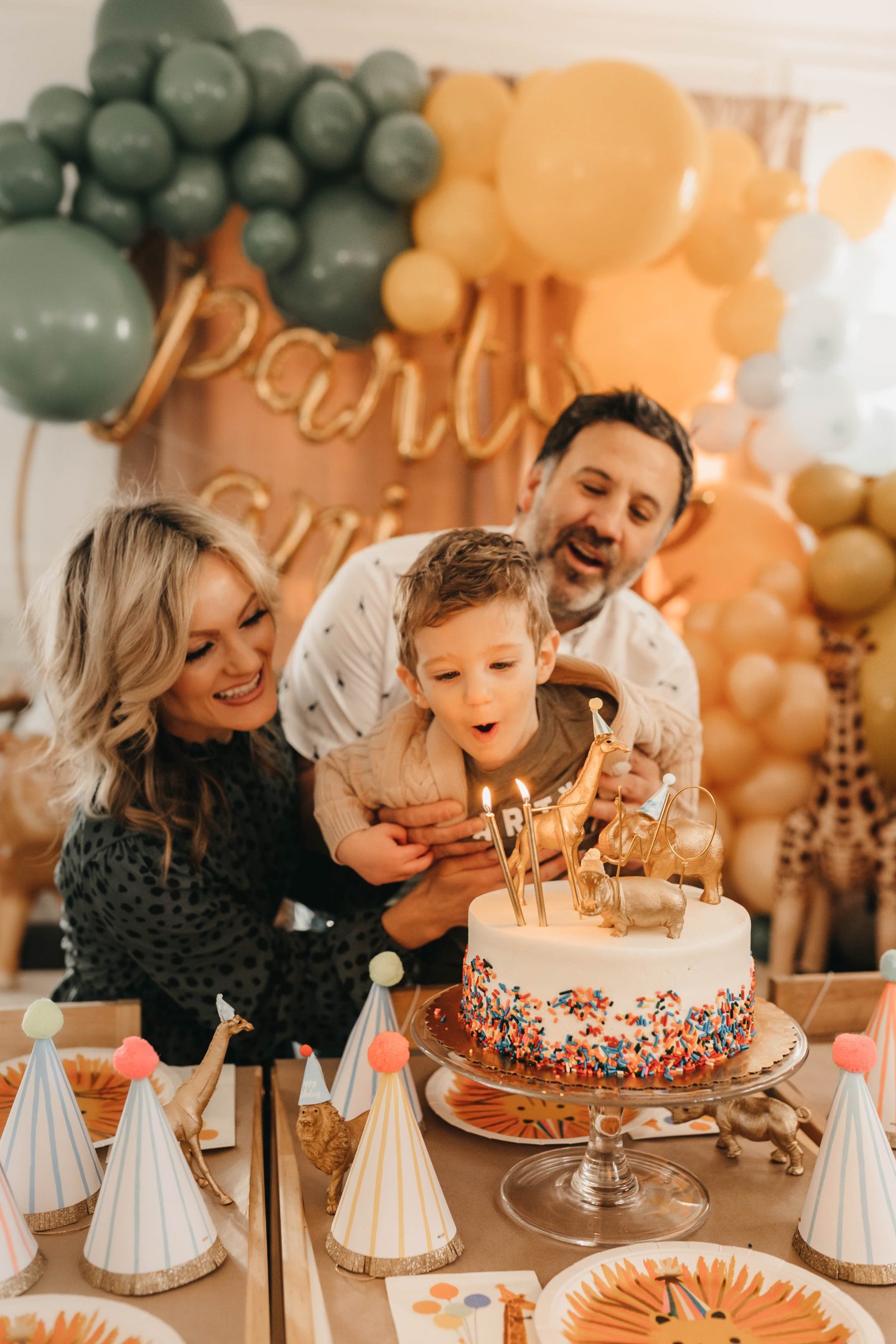 Calling all Party Animals for a Two Year Old Birthday Soiree