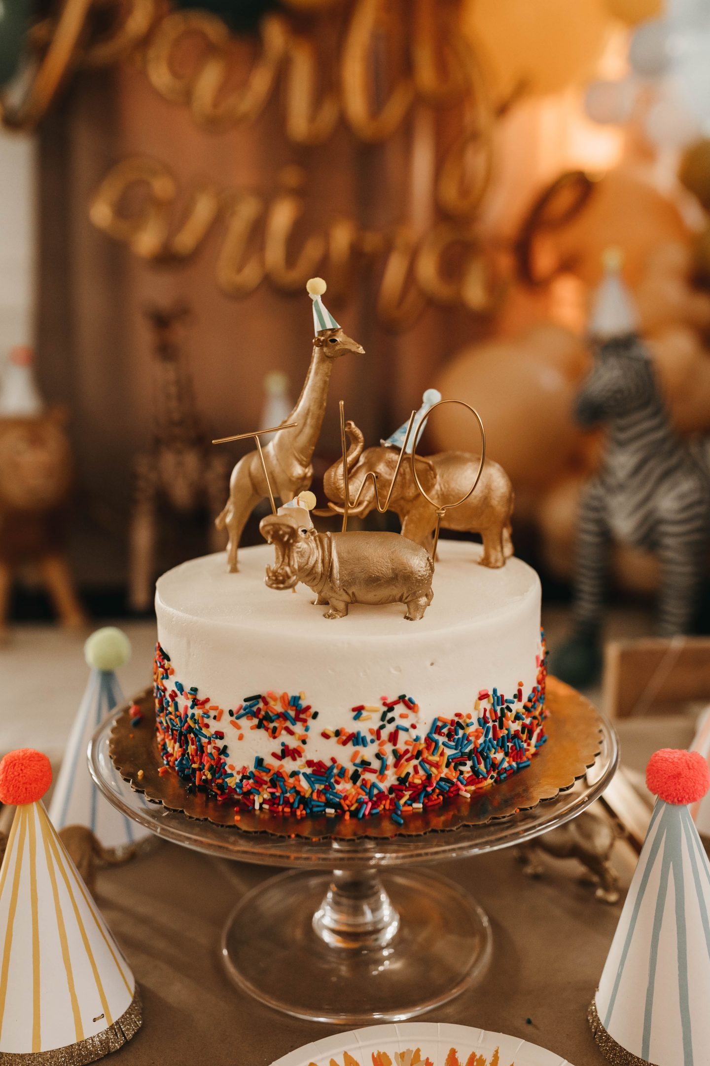 Calling all Party Animals for a Two Year Old Birthday Soiree - CHAMPAGNE +  MACAROONS